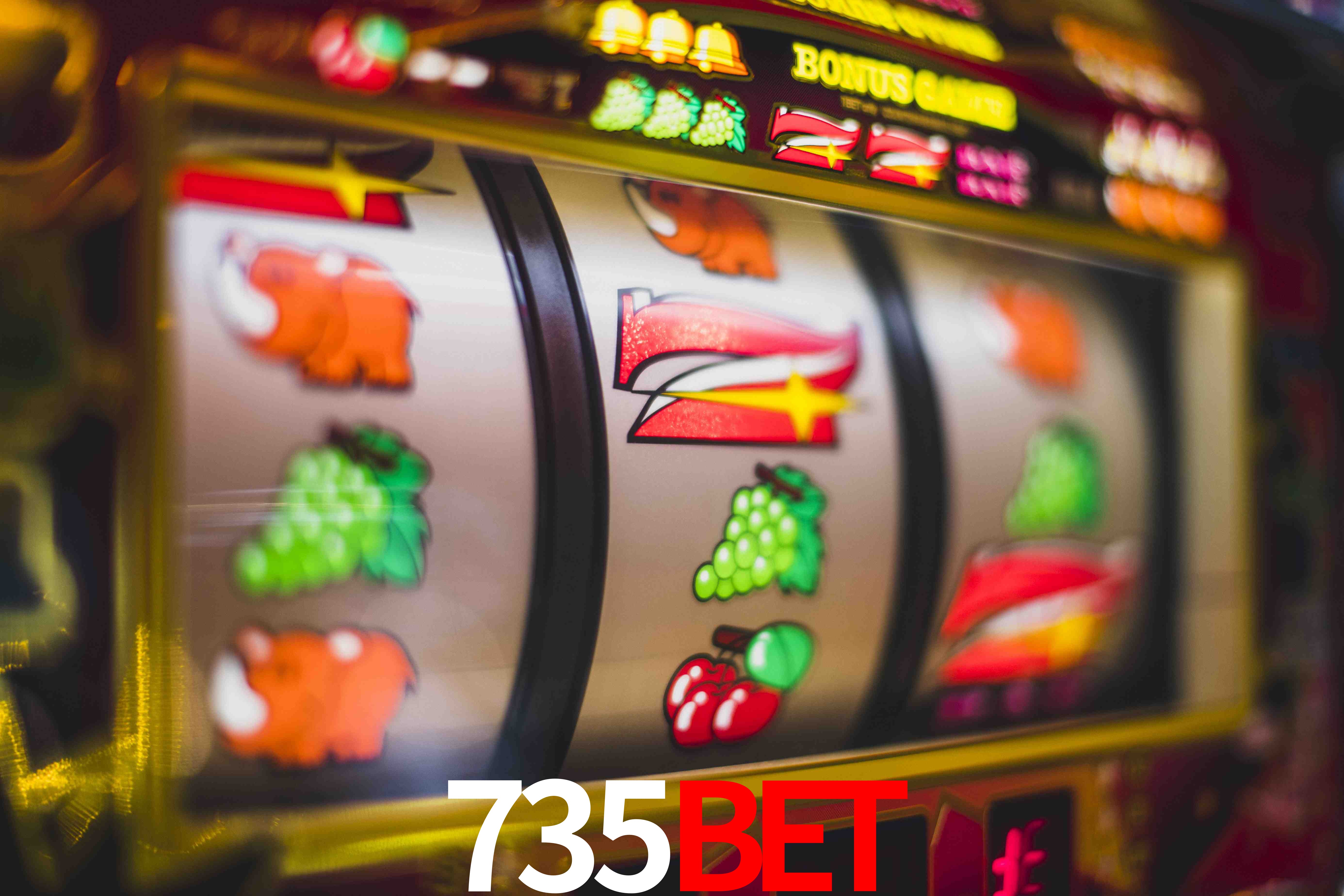 Experiência VIP 735bet